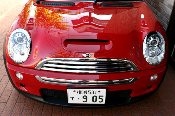 0102 magnifica 2 IMG_0649.jpg